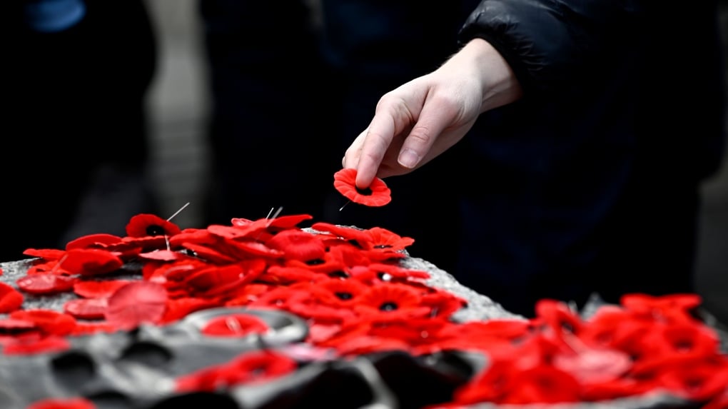 Remembrance Day: What's open and closed in Canada?