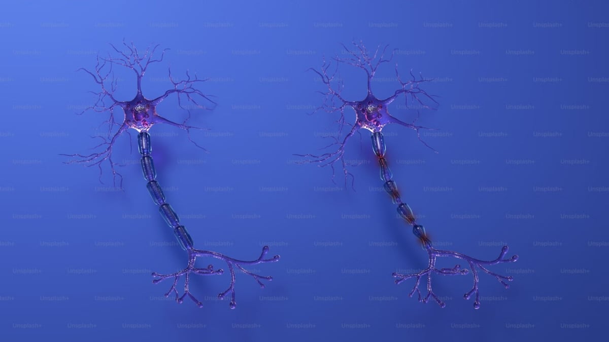 Researchers Develop Cell-Level Wearable Devices to Restore Neuron Function