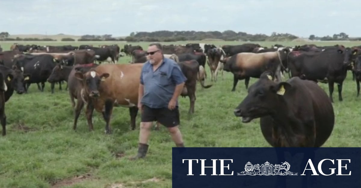 SA dairy to close after failing to find buyer