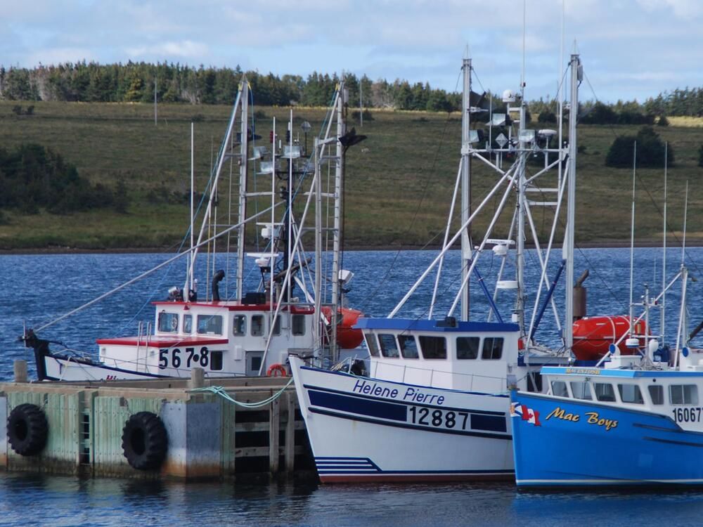 Seafood giant Cooke lands Peruvian anchovy company