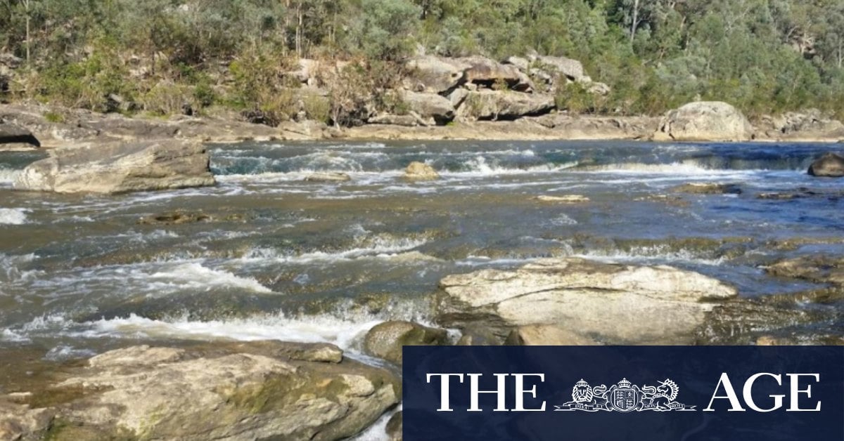 Search underway for fisherman reported to have jumped into Sydney river