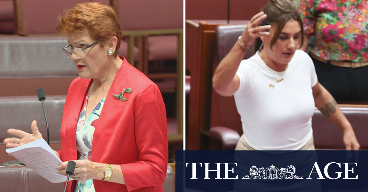 Senator Lidia Thorpe suspended from parliament