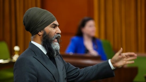 Singh calls on Ottawa to extend $250 rebate to cover seniors, vulnerable Canadians