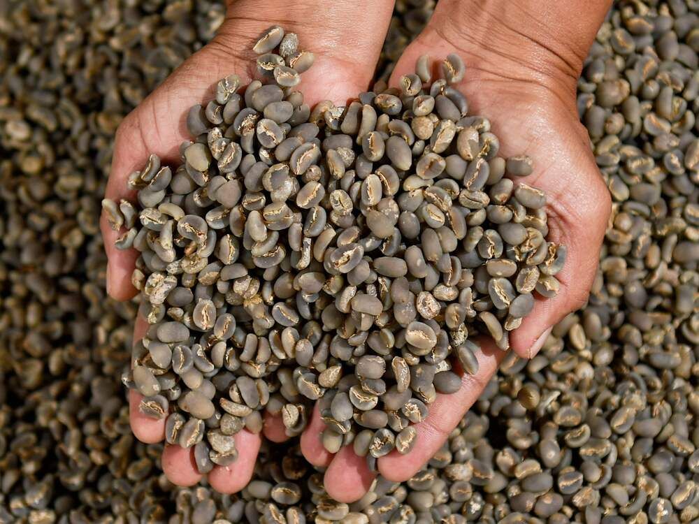 Supple fears have arabica set for largest monthly gain since 2014