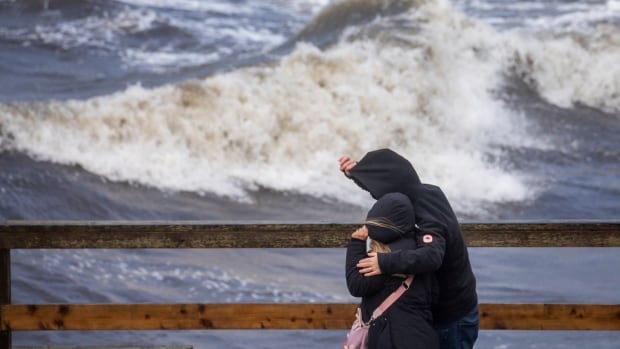 Tens of thousands left without power after strong winds batter B.C.