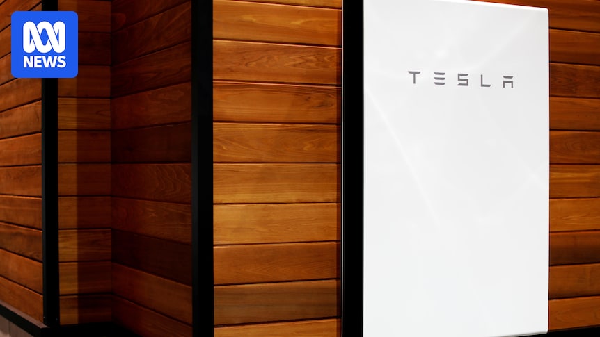 Tesla collects taxpayer subsidies for batteries that 'deprive' consumers, grid of basic services