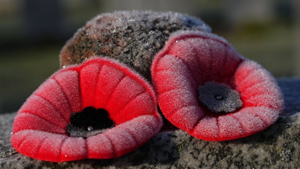 The Royal Canadian Legion turns to Amazon for annual poppy campaign boost