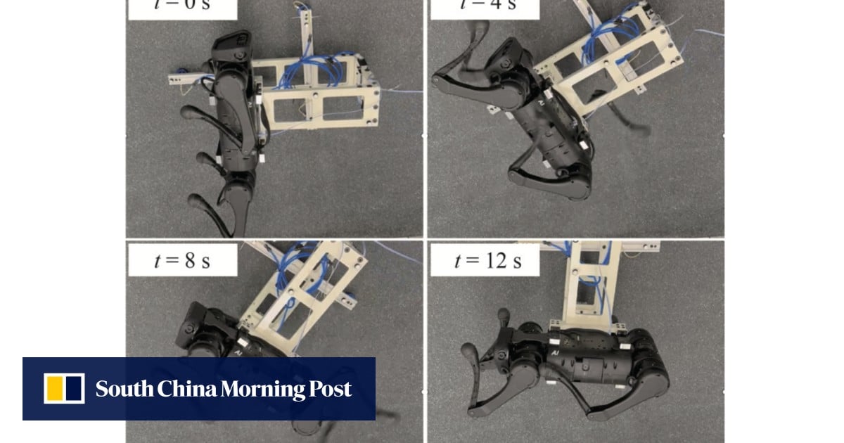 This robot jumps and lands like a cat. It could be used to explore asteroids