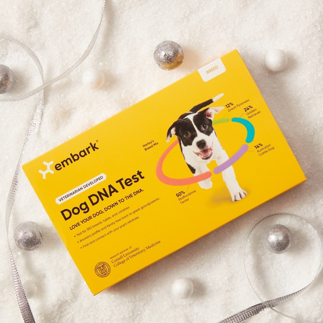  This Unique Gift Makes a Perfect Holiday Treat for Dog Parents 