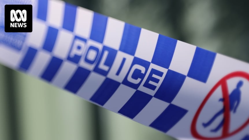 Three dead in light plane crash in Victoria's east