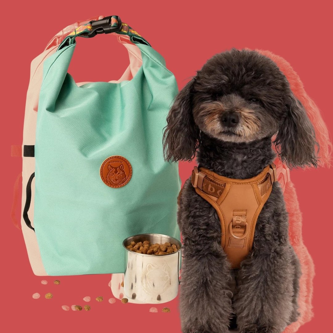  Traveling With Your Pet? Here Are the Must-Have Travel Essentials 