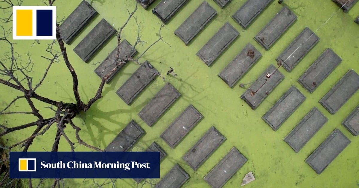 Tropical Storm Trami leaves tombs submerged in the Philippines