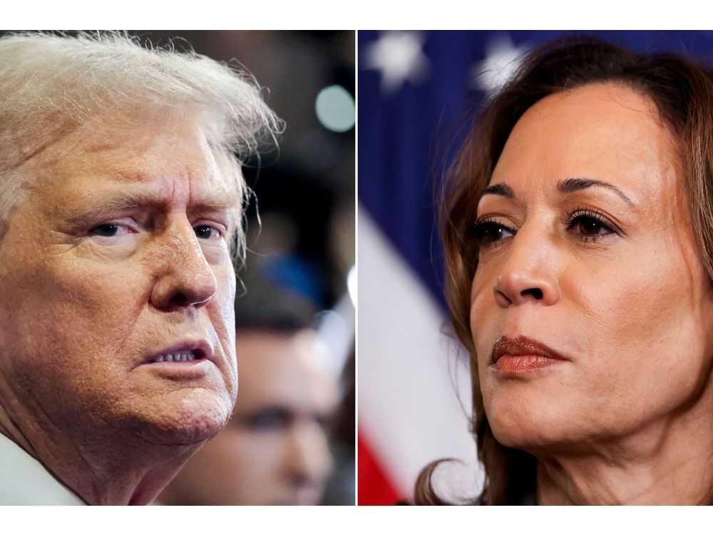 Trump, Harris on the Trail But Transition Teams Are Hard at Work