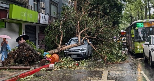 Typhoon Kong-rey causes 3 deaths, 690 injuries