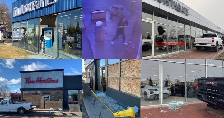 Vandal goes on window-smashing spree at north Edmonton businesses