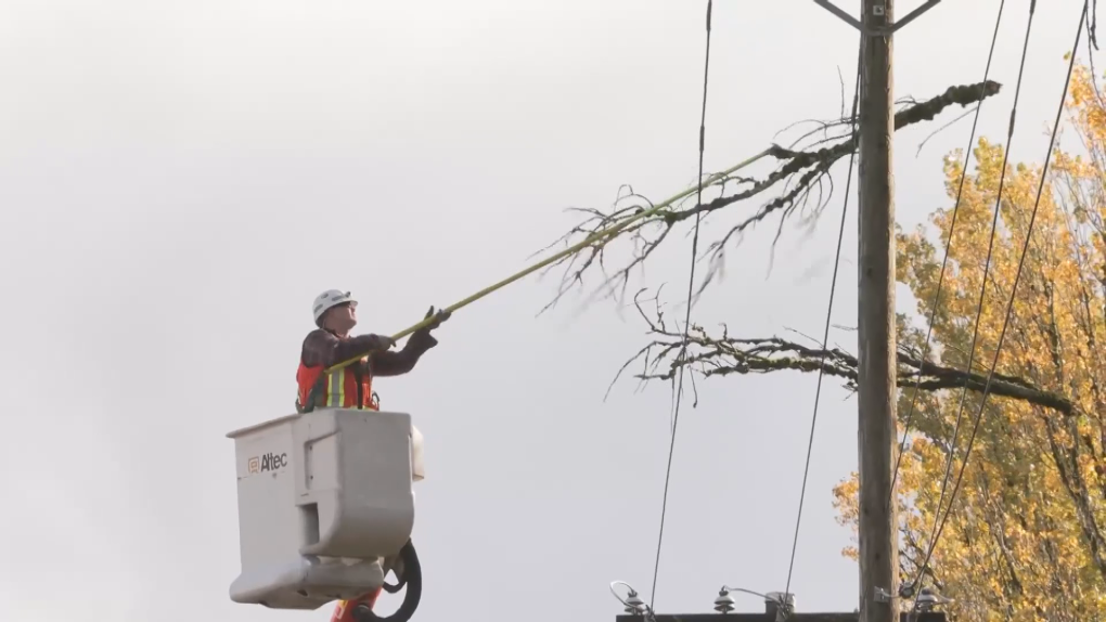 'Vigorous' storm prompts wind, rainfall warnings on B.C.'s South Coast