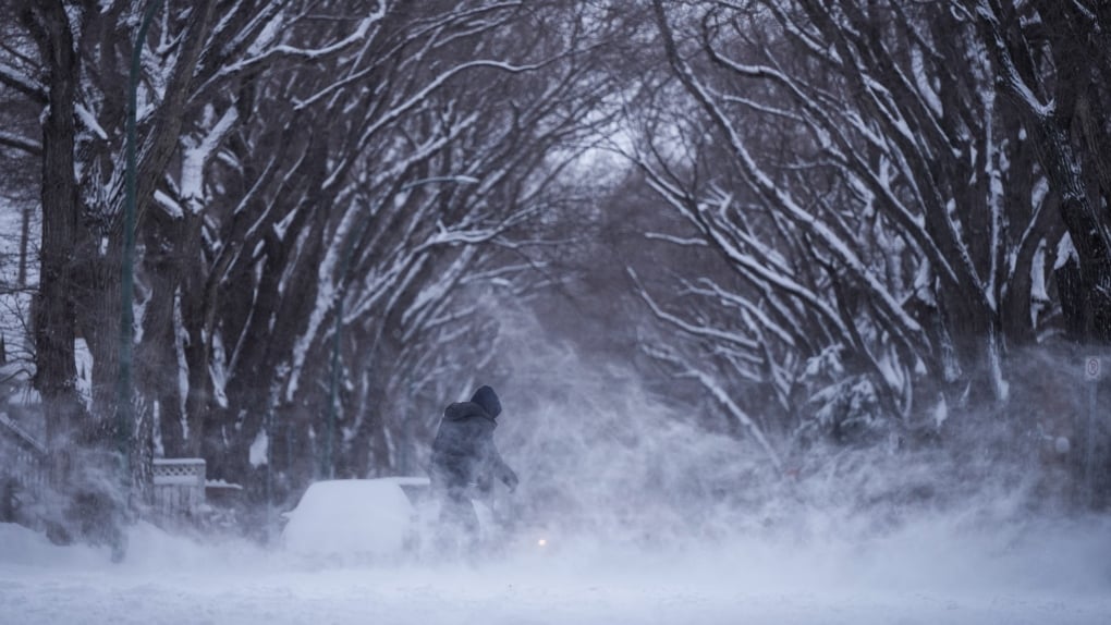 Weather warnings for snow, wind issued in several parts of Canada 