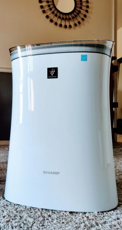 Why We Made a Home Air Purifier Part of Our Travel Lifestyle