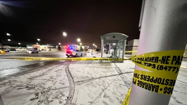 Winnipeg police shoot, kill man in parking lot after he stabbed officer