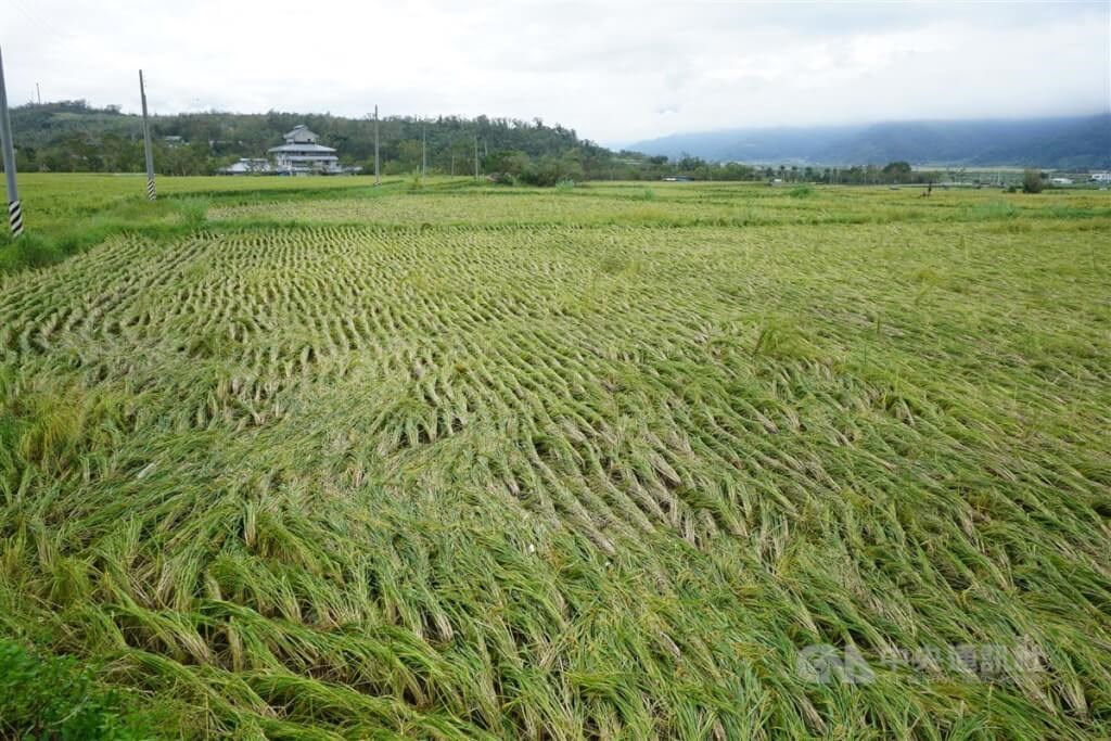 Work to restore power, access to typhoon-hit villages continues