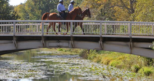 Adding horses to the St. Charles County police would be 'totally cool,' councilman says