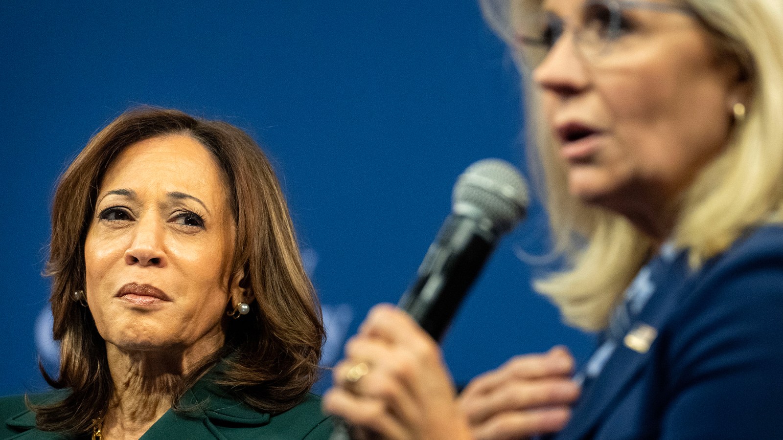 Harris Tried to Win Over Republicans. Democratic Support Collapsed Instead