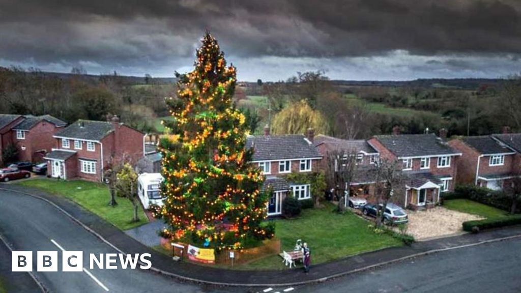 Front garden's 50ft Christmas tree set to light up