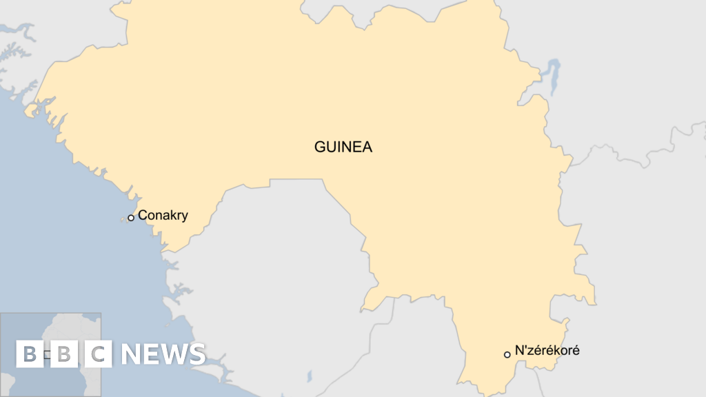 Dozens killed in crush at Guinea football match - reports