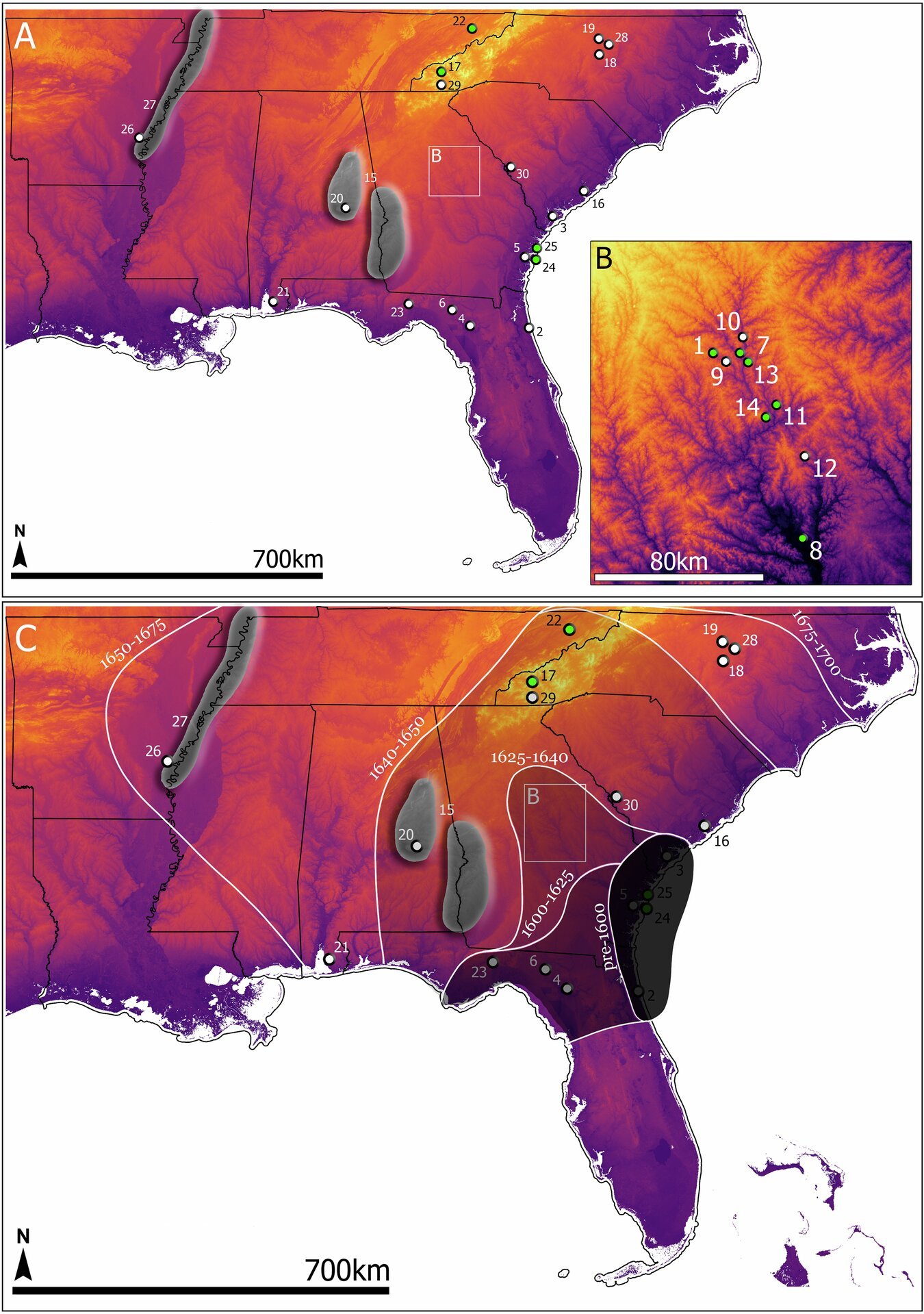 Peaches spread across North America through Indigenous networks, radiocarbon dating and document analysis show