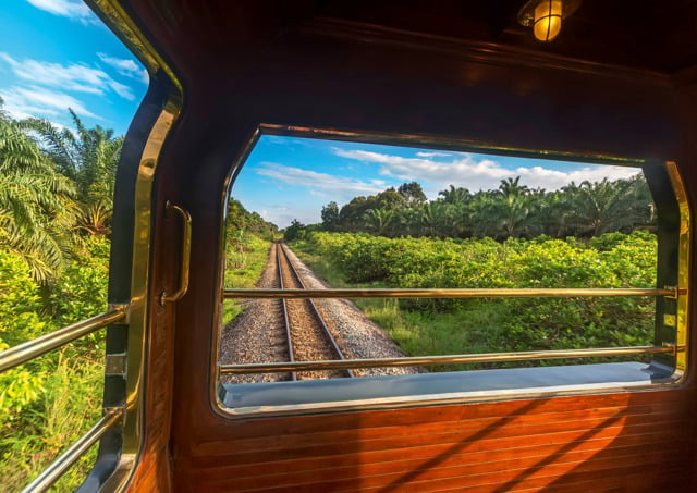 Il treno della giungla