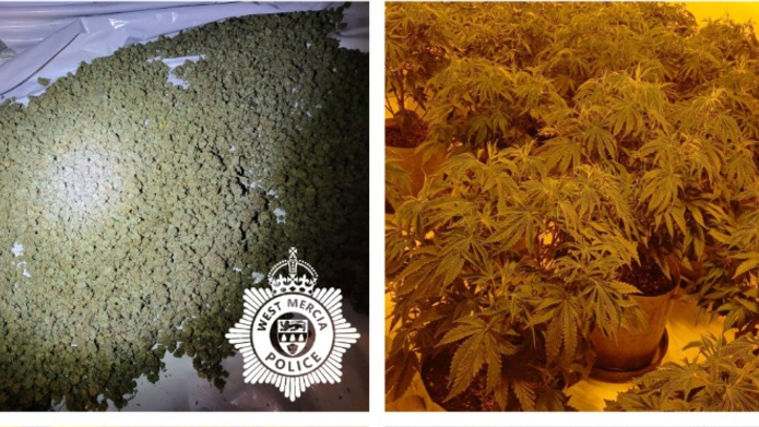 Man arrested as cannabis farm uncovered at house