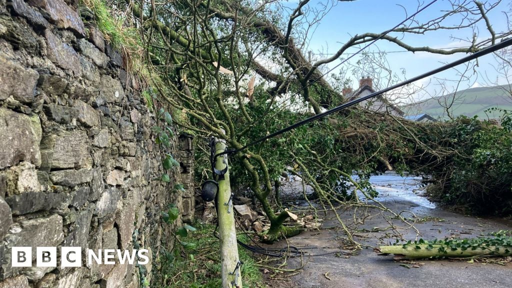 Thousands in Northern Ireland still without power after Storm Darragh