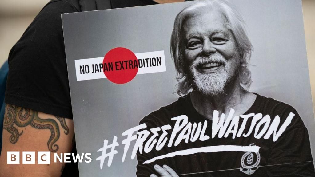 Anti-whaling activist Paul Watson released from jail in Greenland