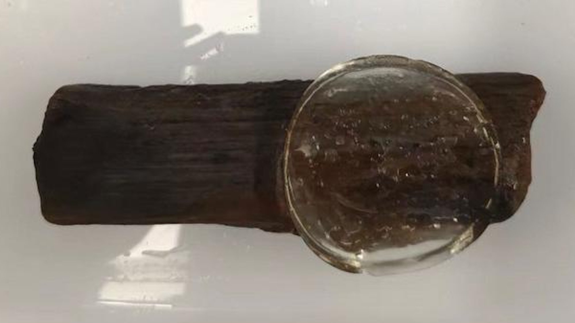 New goo preserves 800-year-old wooden shipwreck samples