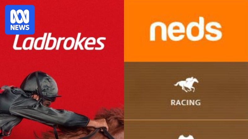 Owner of Ladbrokes and Neds sued for alleged anti-money laundering failure