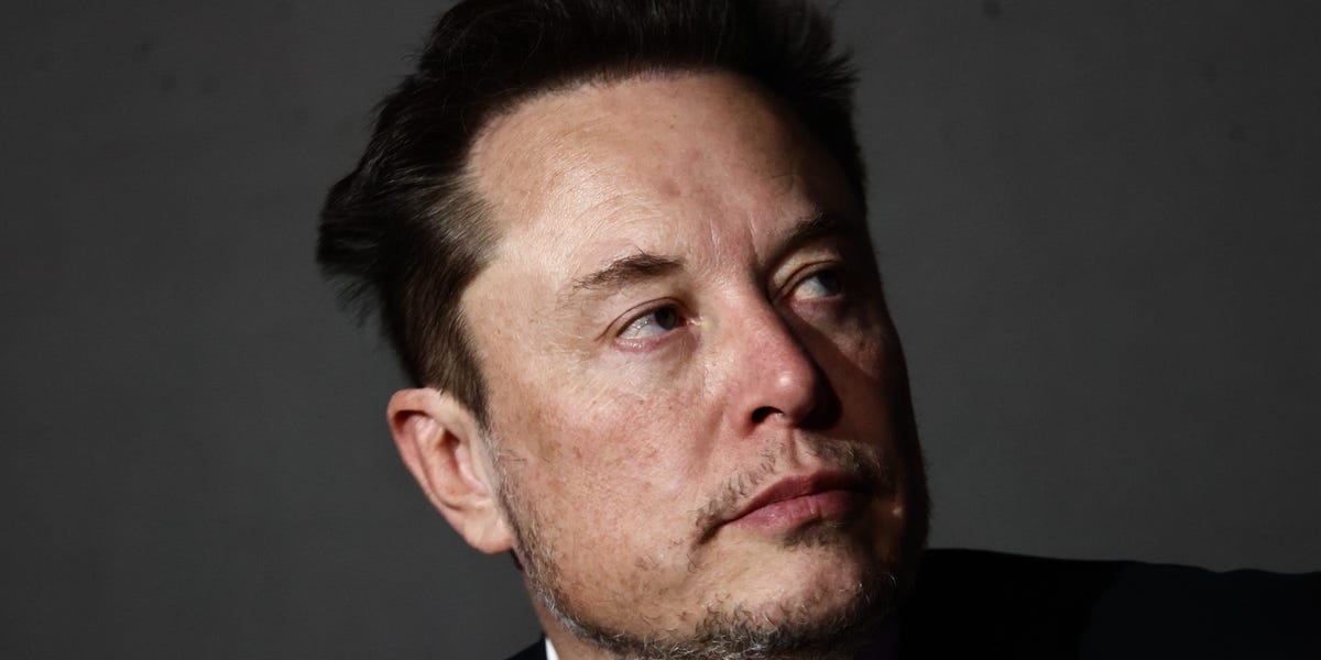 Elon Musk sparks backlash in Germany after calling the chancellor an 'incompetent fool' and backing the far-right AfD party