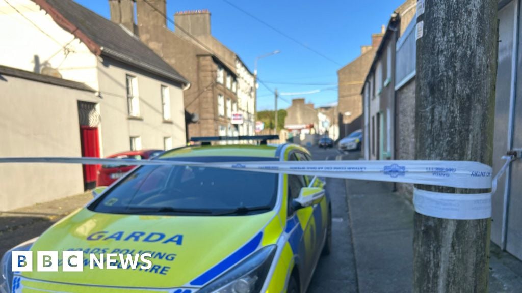 Girl killed 'trying to save mother from attack'