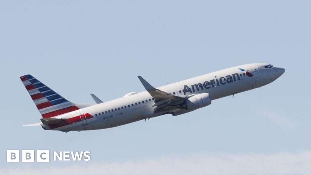 American Airlines resumes flights after technical issue