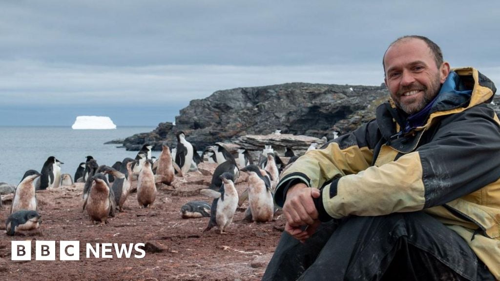 Penguins and iceberg-watching: Marking Christmas in Antarctica