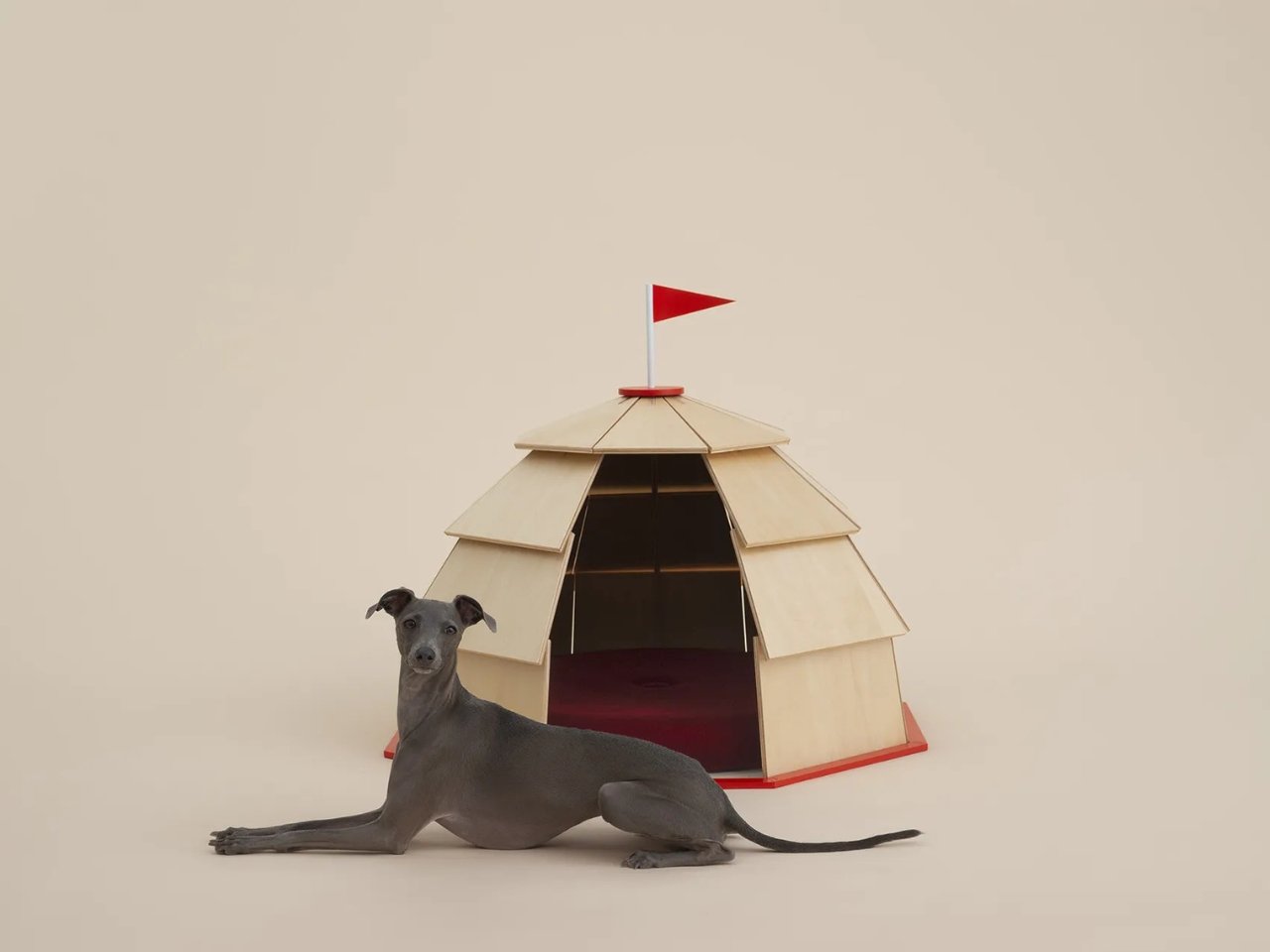 Architecture for Dogs exhibit showcases creative habitat designs for fur babies