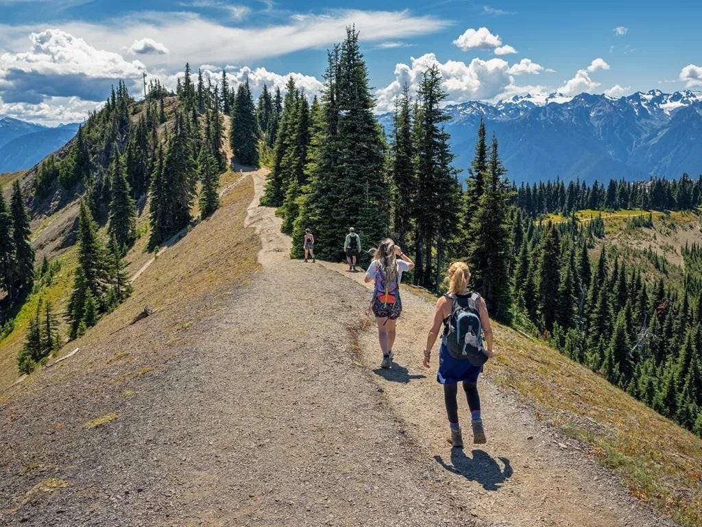 5 New North American Wilderness Walking Trips For 2025