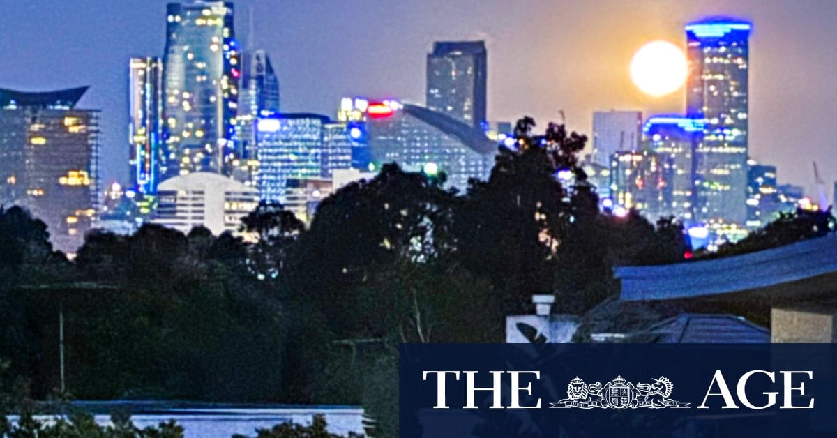 A cold moon on a hot night: the cosmos abides beyond worldly horrors