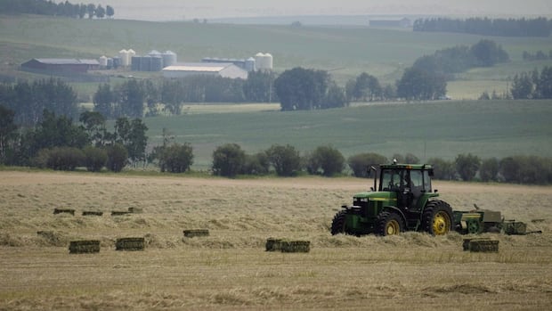 Alberta drought conditions expected to improve heading into 2025