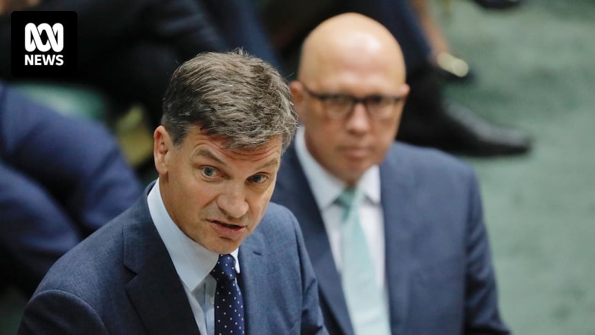 Angus Taylor's word salad blurs the truth about power bills under the Coalition's $331b nuclear plan