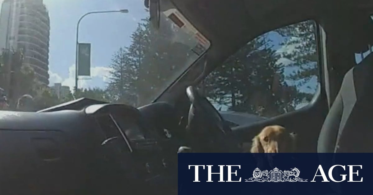 Aussies warned against leaving kids, pets in cars ahead of record-hot summer