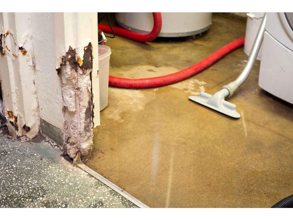 Birnie Plumbing & Drains Eases Holiday Stress with $50 Promotion for Drain Cleaning Services