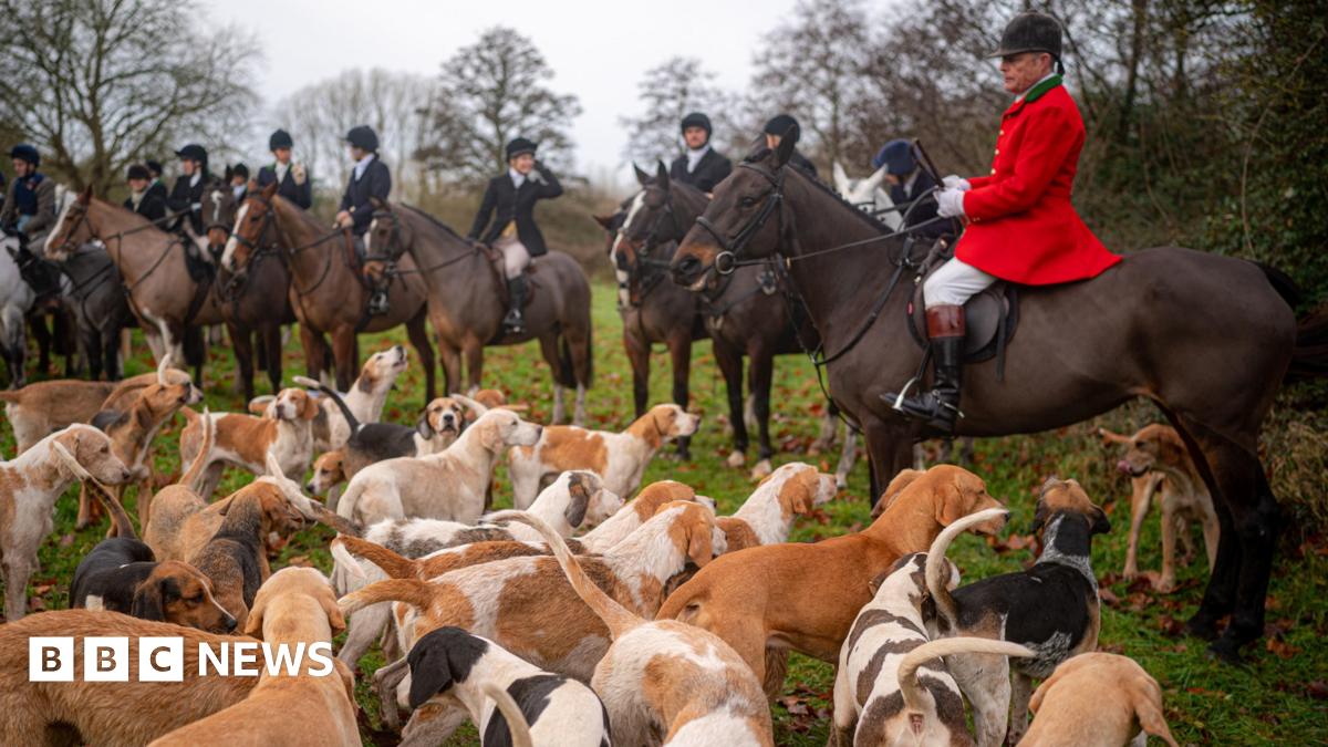 Boxing Day hunt: Government 'committed' to banning trail hunting