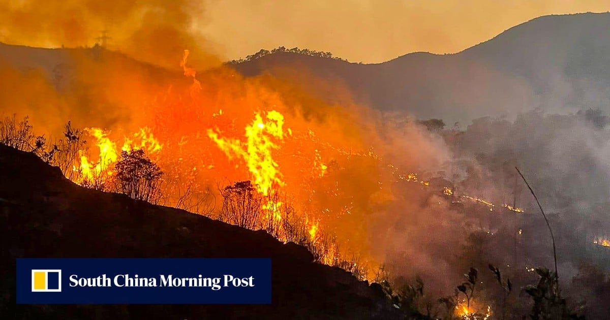 Bushfire in northern Hong Kong still raging after 20 hours