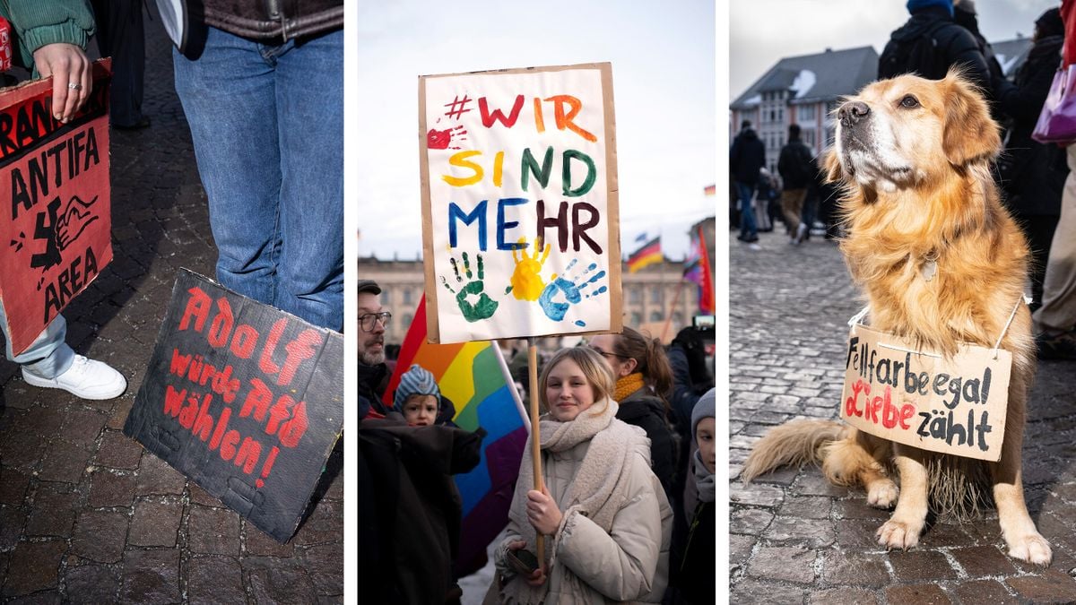 Can the German People Stop the AfD's Far-Right Rise?