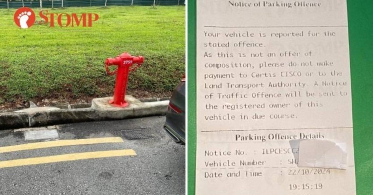 Car owner ticketed for parking near hydrant claims victory after yellow lines extended